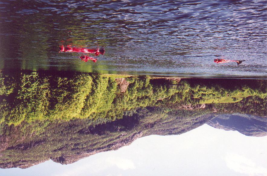 In Norway, sub-aqua tours are organised in salmon rivers to
