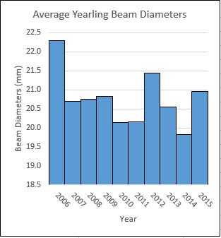 Deer Condition Data Yearling main antler beam diameter, measured just above the burr and number of points are useful for determining deer body condition.
