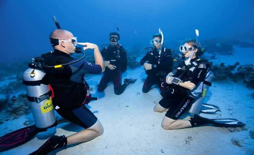 Instructor Training Course (ITC) June 15th, Sept16th, Jan15th Once you finish your Dive Control Specialist course with Oceans 5 you will be entitled to a 10% discount off the price of an Instructor