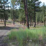 The property is approximately 30 miles from the town of Paulina, Oregon, off highway 380 from Prineville, Oregon.