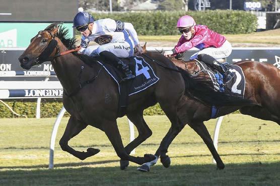 salutes at Gosford 14th August;