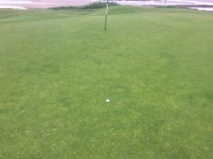 Figure 8: The 4 th green has responded well to an intensified programme of work over recent years.