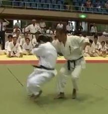 11)When a contestant employs techniques that are hard to admit as applications of the Randori 17 -hon no Kata, but something seen in Judo or wrestling.
