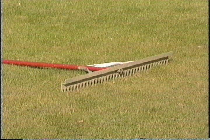 Spread the ROAD BASE inside the staked area and create your shape using a landscapers rake.