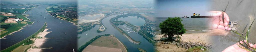 EEL: THE EUROPEAN PERSPECTIVE From Rhine Delta Roadmap