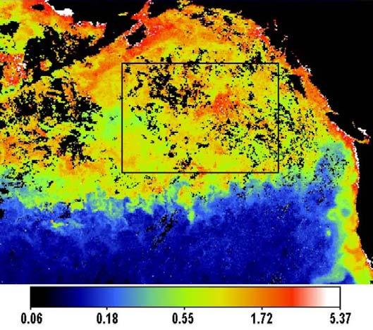 Two American satellites, SeaWiFS and MODIS, determine the concentration of chlorophyll at the ocean surface based on their observations of ocean colour.