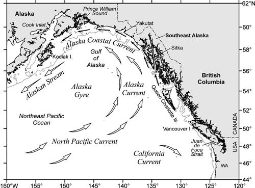 Stronger flow in North Pacific Current Stronger winter westerly winds in the winter of 2006-07 and 2007-08, combined with a more intense Aleutian Low Pressure System in the northern Gulf of Alaska,