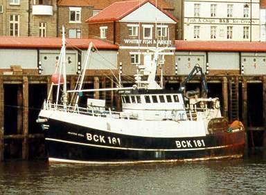 4.2 Vessel details The Buckie registered twin-rig trawler Heather Sprig (BCK 181) was selected for this work (Figure 1). The vessel operates as a twin-rig trawler using the threewarp system.