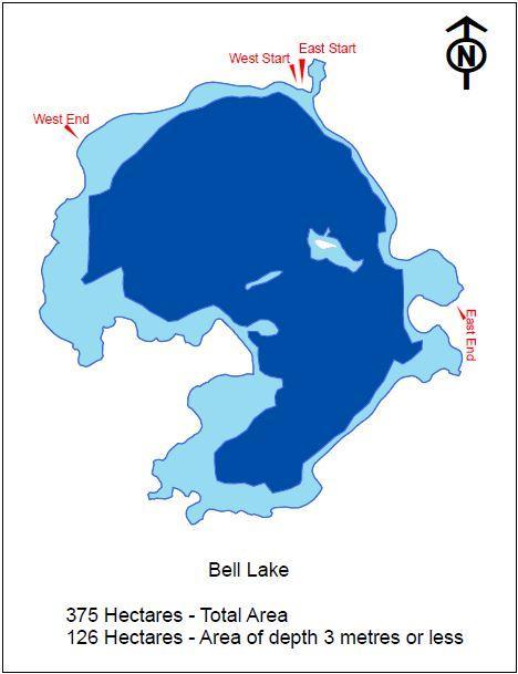 Bell Lake Littoral Zones: The littoral zone is the near shore area where sunlight penetrates all the way to the sediment and allows aquatic plants (macrophytes) to grow (Unknown 2004).