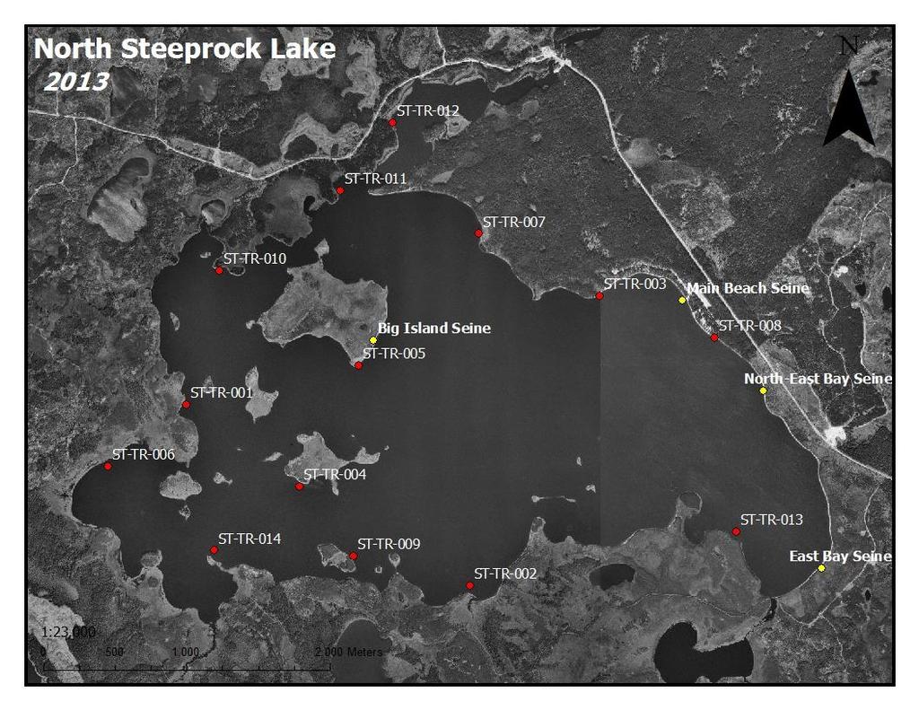 North Steeprock Lake 2013 Trap Netting Results: Study Period & Area Trap netting was conducted between September 4 th 14 th in 2012 and September 3 rd 10 th in 2013.