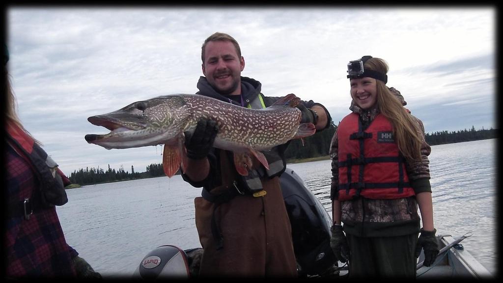 Weight (g) North Steeprock Lake 2013 Trap Netting Results: Northern Pike 9000 8000 7000 6000 5000 4000 3000 2000 1000 2013 NORTH STEEPROCK