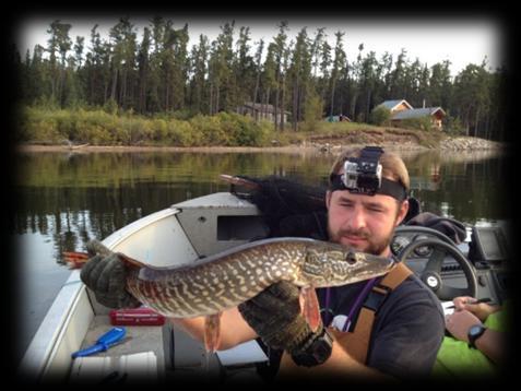 North Steeprock Lake 2013 Trap Netting Results: Conclusion /