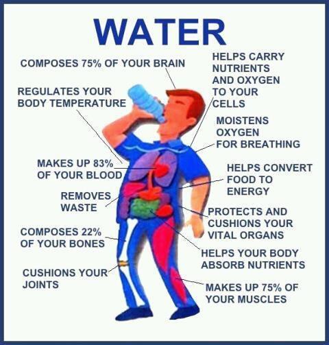 Dehydration Protect yourself by drinking plenty of fluids Avoid beverages that contain