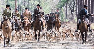 The Moore County Hounds cordially invites you to the 8 th Annual Moore County Hounds Performance Trial October 6-7, 2018 Great sport, great food and great camaraderie.
