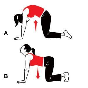 Cat/Camel Stretch Begin on your hands and knees. Round your back by contracting your abdominals and tucking your pelvis.