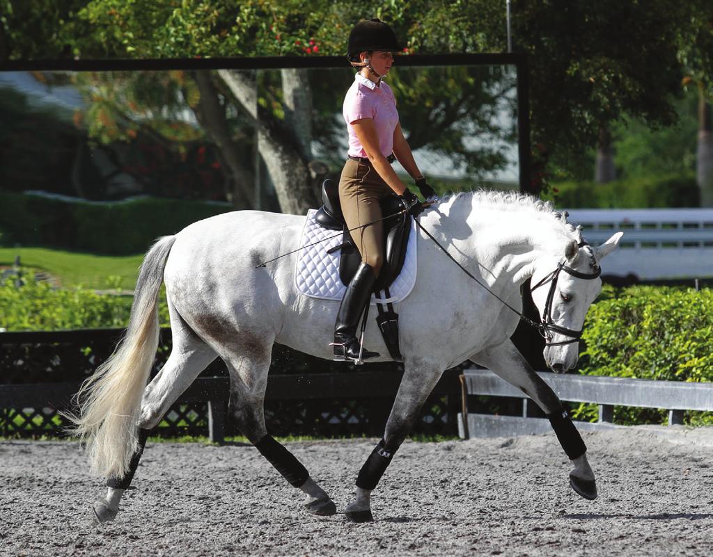 DUPLICATION PROHIBITED by copyright holder 9.6 The Extended Canter. In the extended gaits, the collected horse reaches to his maximum ability.