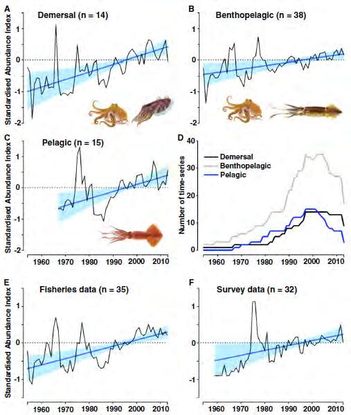 Global proliferation of cephalopods Cephalopods, including squid, cuttlefish and octopus From pelagic to