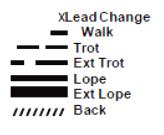Collect to a trot 9. Trot over poles 10. Stop, do 360 degree turn each direction (either direction 1st) (L-R or R-L) 11. Walk, stop and back RANCH RIDING PATTERN 5: 1. Walk 2. Trot 3.