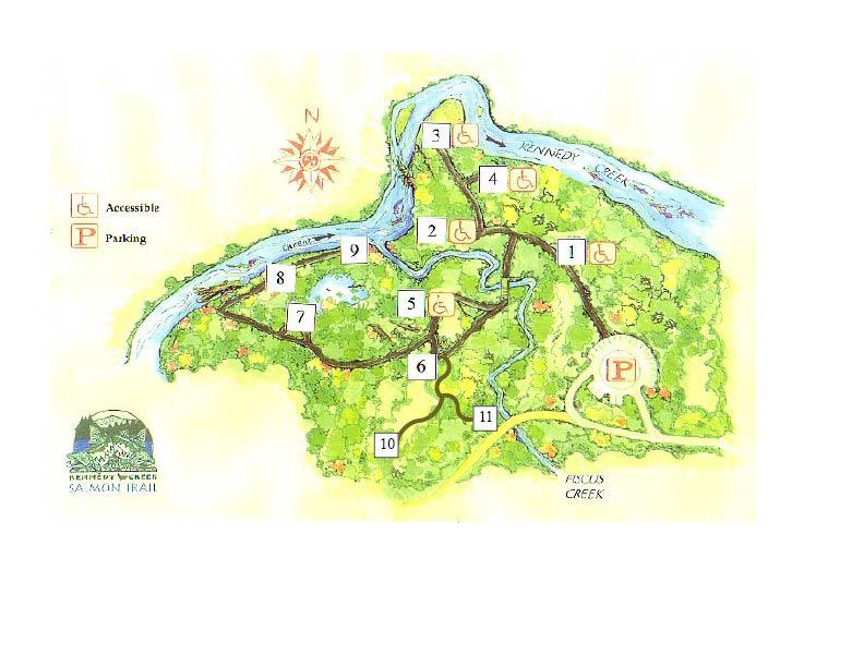Site #1: Kiosk Themes Trail Etiquette (see handout) Orientation to the trail Native American history of the trail area Chum salmon life cycle Background information Orientation to the trail: The