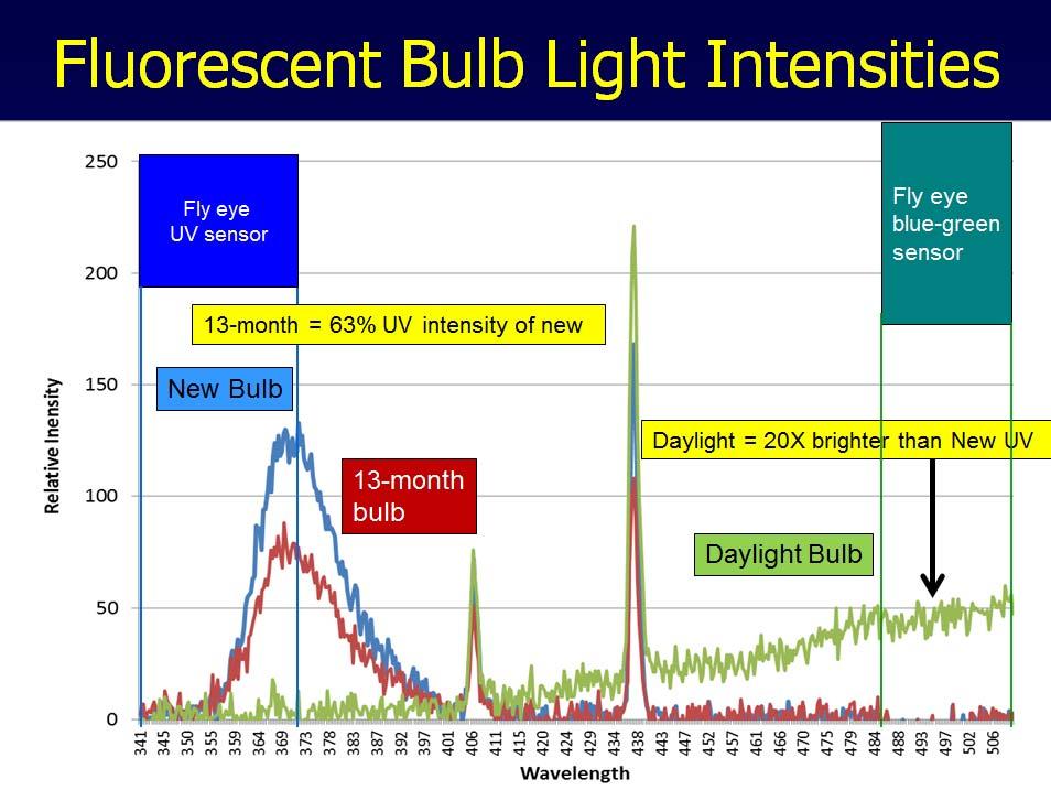 Graph 3. Graph showing Wavelength and Intensity of New UV, Old UV and Day light bulbs.