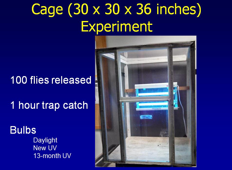 Figure 3. Cage Test When compared against each other the following was found: 1. New UV bulbs caught 62% when compared to no bulbs caught 1% 2.