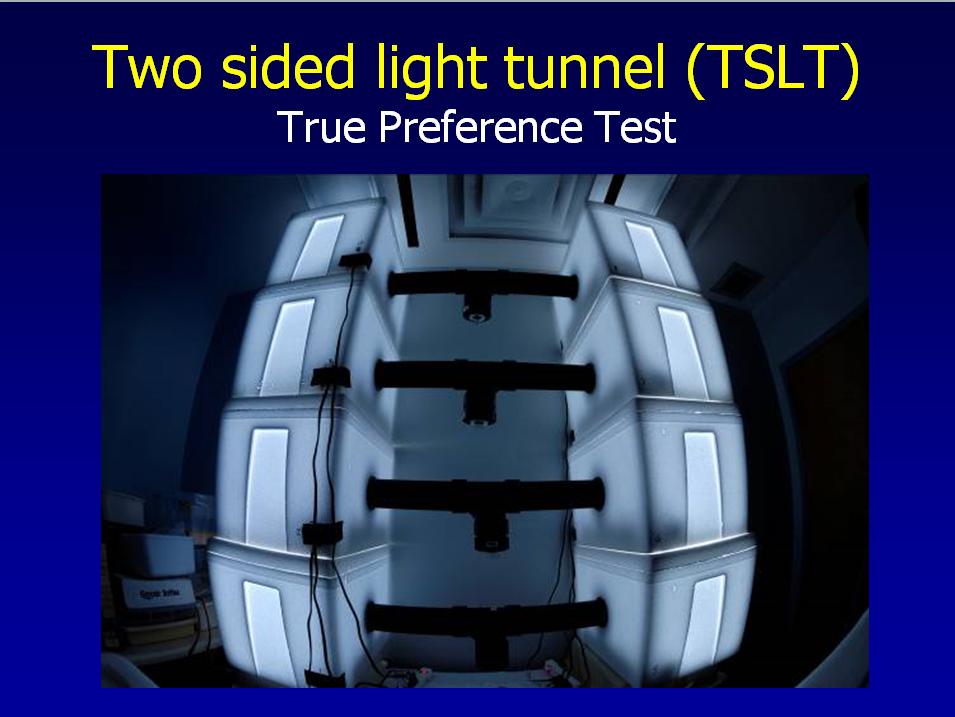 Figure 4. Two Sided Light Tunnel Test. In this test, the effect of white vs. black glue boards and the effect of a black box interior vs. white box interior were also investigated.