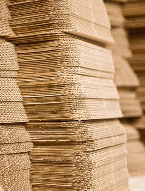 Global Paper Packaging Outlook With a Focus on the Latin American Markets RISI Latin