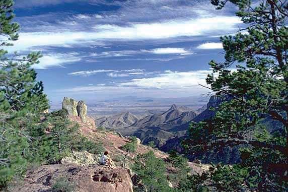 0 0 Figure -. Relict coniferous forest in the Chihuahuan Montane Woodlands with ponderosa pine, Douglas-fir, Arizona pine or southwestern white pine. Photo: Phil Gavenda ( Source: ftp://ftp.epa.