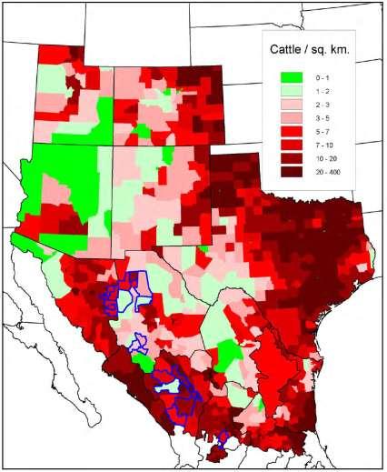Figure -. Cattle density in the southwestern U.S. and northern Mexico (from Carroll et al. 00). The research of Merkle et al.