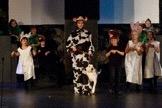 I was the Replacement Cow in Into The Woods, our kids of all ages show and then I was a dog in Cinderella.