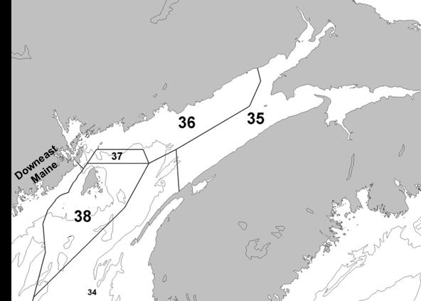 Figure 1. Lobster Fishing Areas (LFAs) 35-38 in the Bay of Fundy. LFA 37 is a shared fishing area between LFAs 36 and 38.