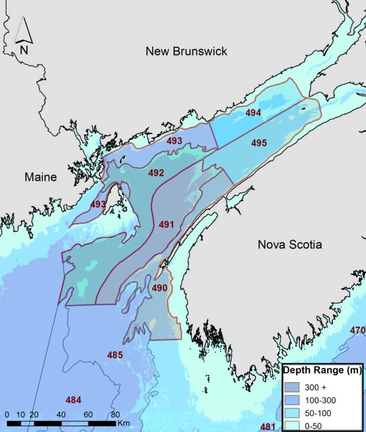 Figure 4. Summer RV survey strata in NAFO Division 4X. Data compiled to assess lobster stock status in LFAs 35-38 are from strata 490 to 495 inclusively (n=6). Figure 5.