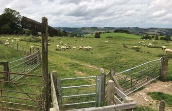 You ll eventually reach another kissing gate onto Pen Offa, a farm, which has a wooden sign post pointing to Offa s Dyke.