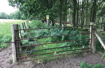 Continue following the rough footpath through the field, keeping the hedgerow to your left. You ll arrive at two metal gates next to each other.