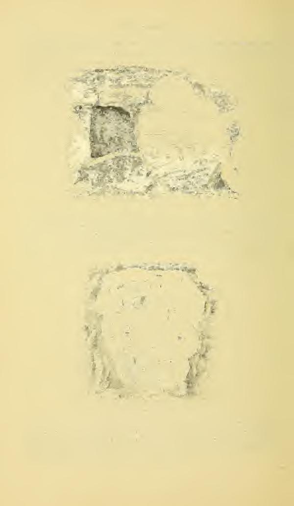 38 Discovery of the The entrance to the western chamber, opposite the passage from the exterior, and forming the top of the cruciform fijfure