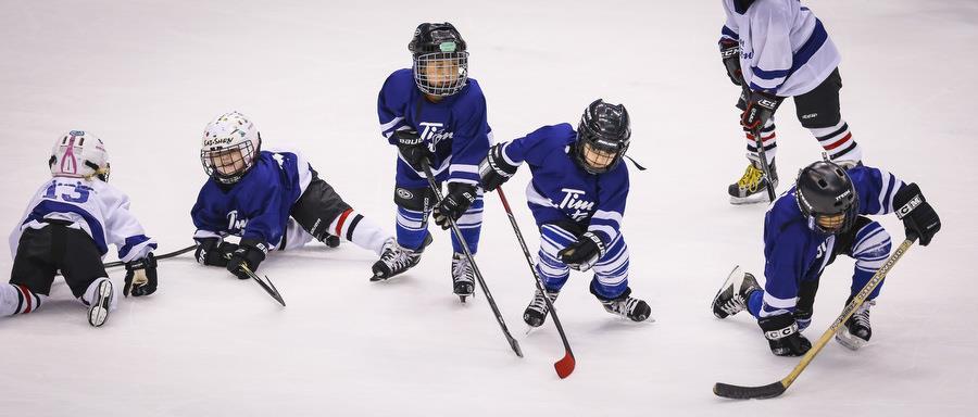 About TIMBITS Hockey T I M B I T S P r o g r a m The TIMBITS Minor Sports Program is a community-oriented sponsorship program that provides opportunities for kids aged four to nine to play house
