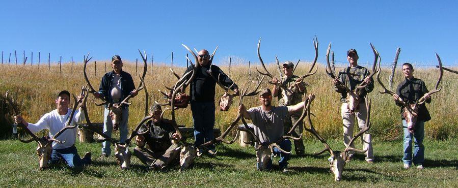 We hunt for the trophy animals in Elk, Mule Deer, Whitetail Deer, Antelope, Bear, Mountain Lion, Mountain Goat, Bighorn Sheep, Buffalo, Turkey and