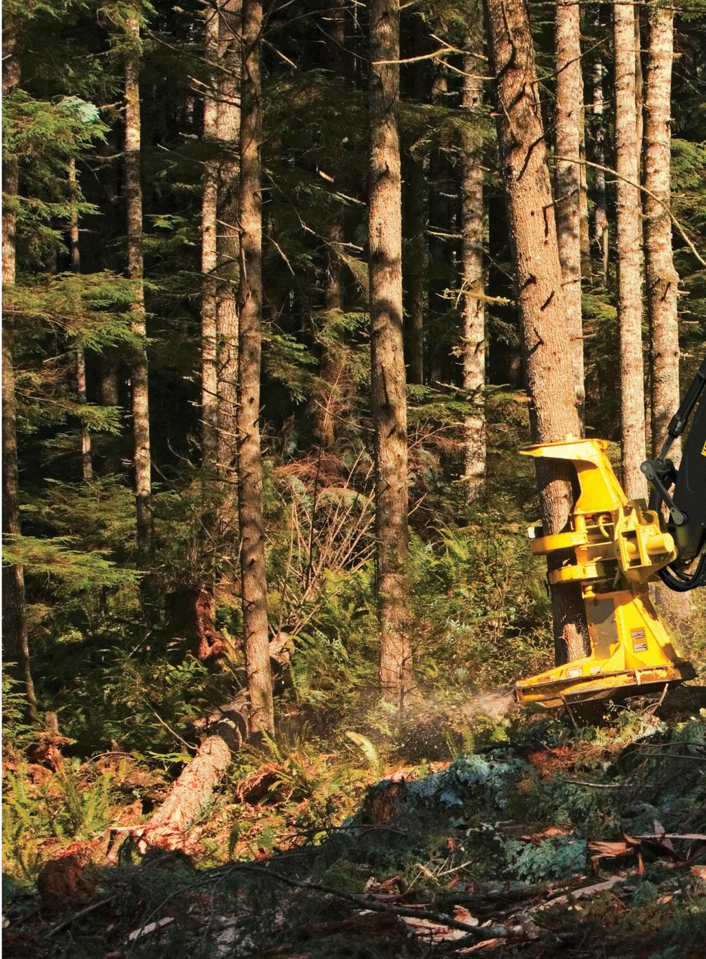 Tame the toughest woods. The worst of the woods brings out the best in a 900K-Series Feller Buncher. Large-displacement 9.