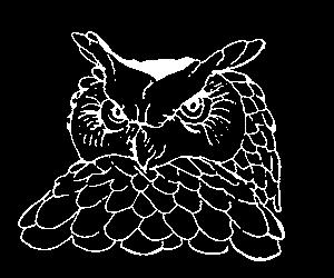 owl18