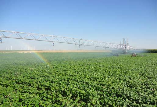 maize R76 irrigating french