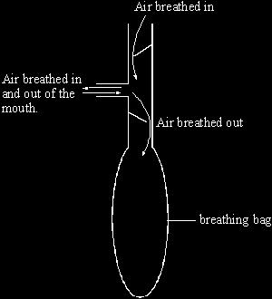 (Total 9 marks) Q19. A student breathed out into an empty breathing bag five times. After breathing out five times the volume of air in the bag was measured. The volume was 3000 cm 3.