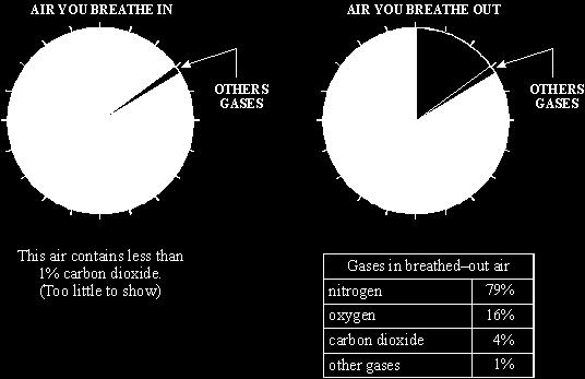 The air you breathe out contains less than the air you breathe in.