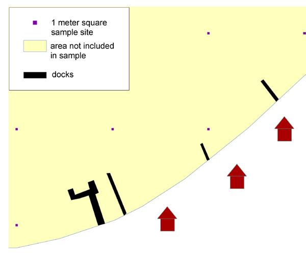 Figure B. Actual area of sample site used in point-intercept survey compared to non-sampled areas of lake. Other measures of abundance include: Cover = the amount of surface area occupied by a plant.