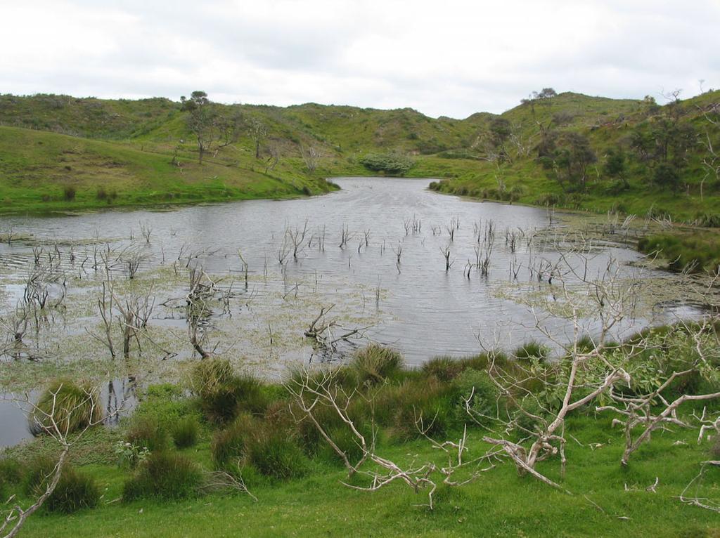 Figure 1: Lake Poutoa. 1.1.9 Lakes Ngakaru and Piripoua In 2005 these lakes comprised a string of small water bodies typified in the photos below. Most water bodies were shallow (c. 1.3 m) with the exception of the northeasterly basin which was over 2 m deep.