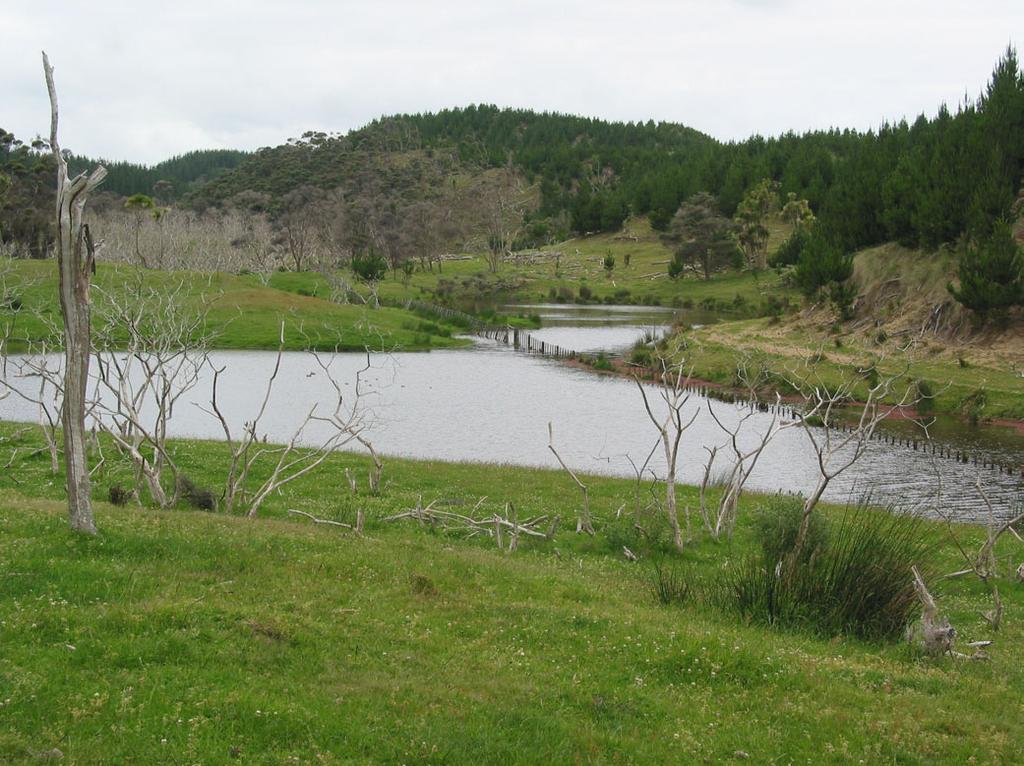 Figure 2: Southern-most lake in the Lake Ngakarua-Piripoua series. Figure 3: Northeastern lake in the Lake Ngakarua-Piripoua series. 1.