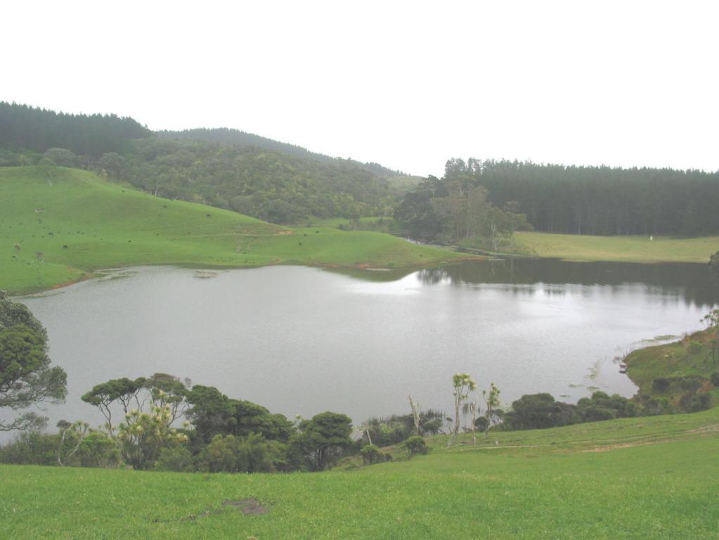 1.1.12 Lake Okaihau In 2005 hornwort dominated the submerged vegetation of the southern end from shallow water to 3.9 m depth. Elsewhere surface-reaching clumps of native milfoil were dominant to 1.