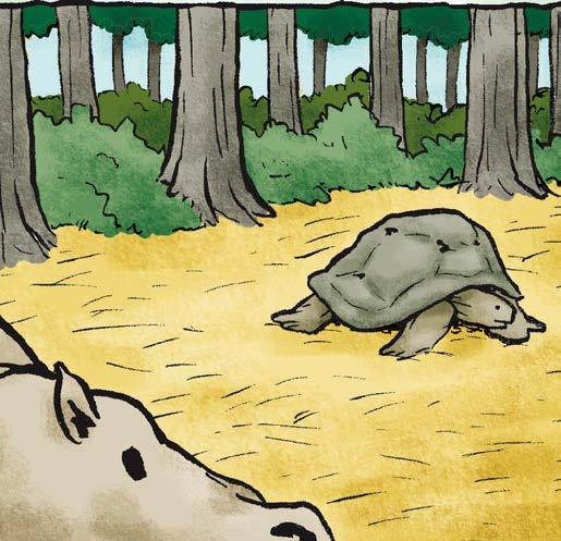 Owen and the Tortoise Note to readers: This fictional account is based on true events that happened to a one-year-old hippo in the country of Kenya as a result of the Indian Ocean tsunami of December