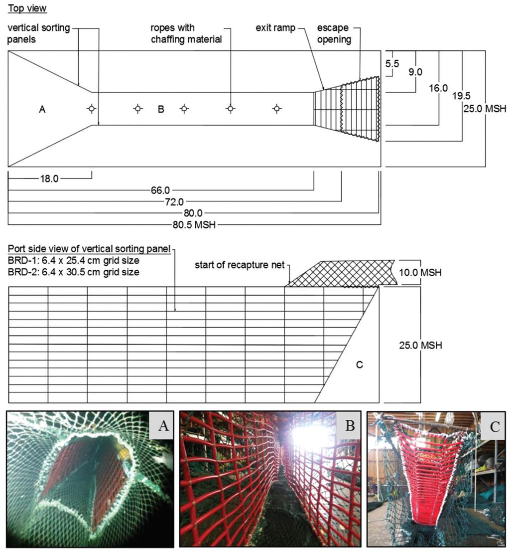 Design of Flexible Sorting Grid BRDs Tested Size-selection characteristics of two sorting-grid BRDs Mean flatfish retention (weight) 89.% for BRD-1 81.7% for BRD-.