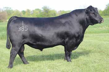 Woodside Rito 4P26 of 0242 / Sire of Lot 49. 49 +11 +1.0 +62 +105 +.10 +.93 +17 +72.93 +51.75 Cows 69 741 1258 +15.4 +12 +32 +54.14 +144.