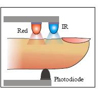 Light emitting diodes (LED) Red LED Infra red LED Light turns ON & OFF several hundred times per second ON